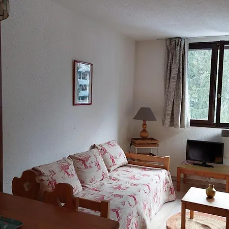 2 Pieces Chamonix, 4 Pers, Animaux Ok, Parking - Fr-1-517-18 Apartman *