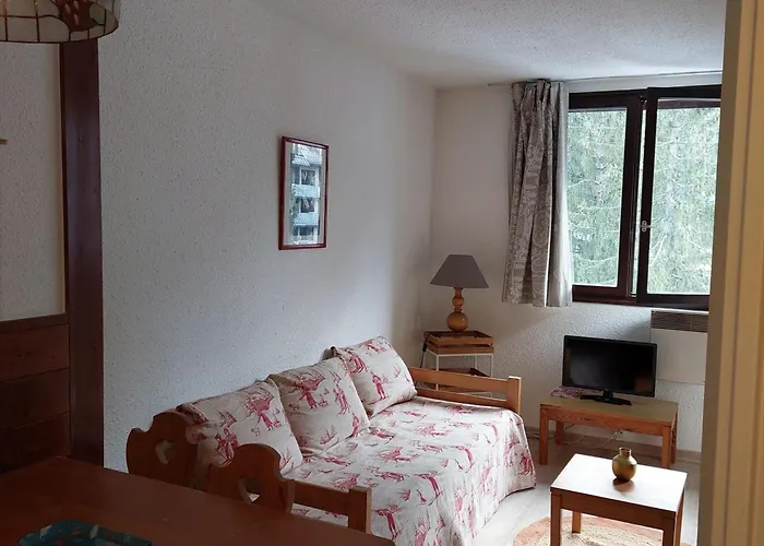 2 Pieces Chamonix, 4 Pers, Animaux Ok, Parking - Fr-1-517-18 Apartman *