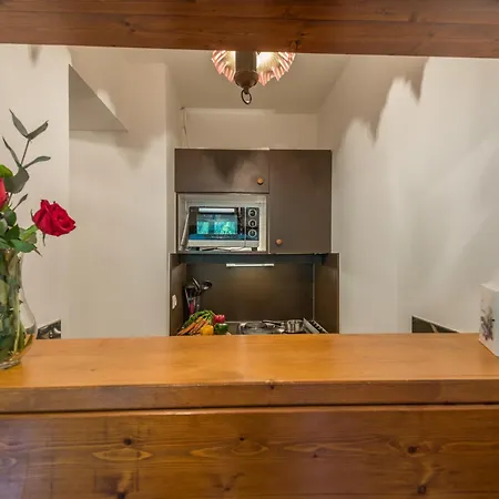 Apartamento 2 Pieces Chamonix, 4 Pers, Animaux Ok, Parking - Fr-1-517-18 Chamonix