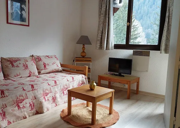 2 Pieces Chamonix, 4 Pers, Animaux Ok, Parking - Fr-1-517-18 *