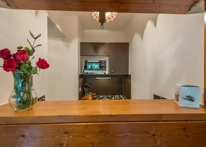 Apartamento 2 Pieces Chamonix, 4 Pers, Animaux Ok, Parking - Fr-1-517-18 Chamonix